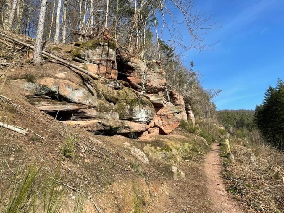 Ferienwohung Am Felsenwanderweg Im Pfaelzerwald Διαμέρισμα Rodalben Εξωτερικό φωτογραφία
