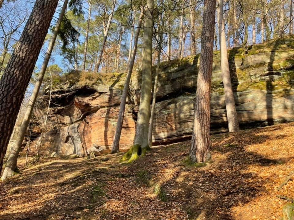 Ferienwohung Am Felsenwanderweg Im Pfaelzerwald Διαμέρισμα Rodalben Εξωτερικό φωτογραφία