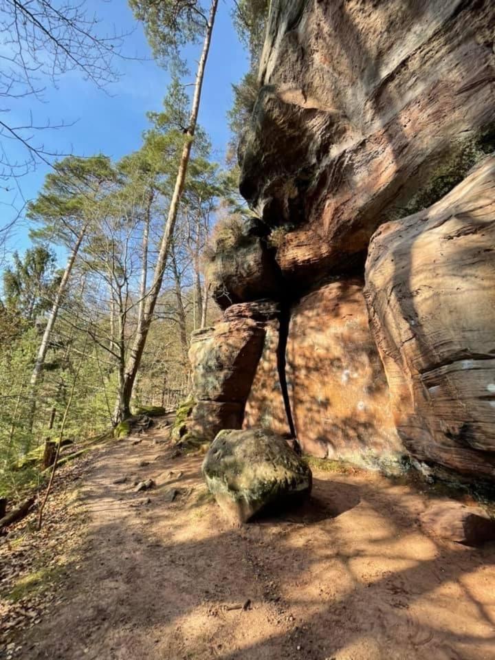 Ferienwohung Am Felsenwanderweg Im Pfaelzerwald Διαμέρισμα Rodalben Εξωτερικό φωτογραφία